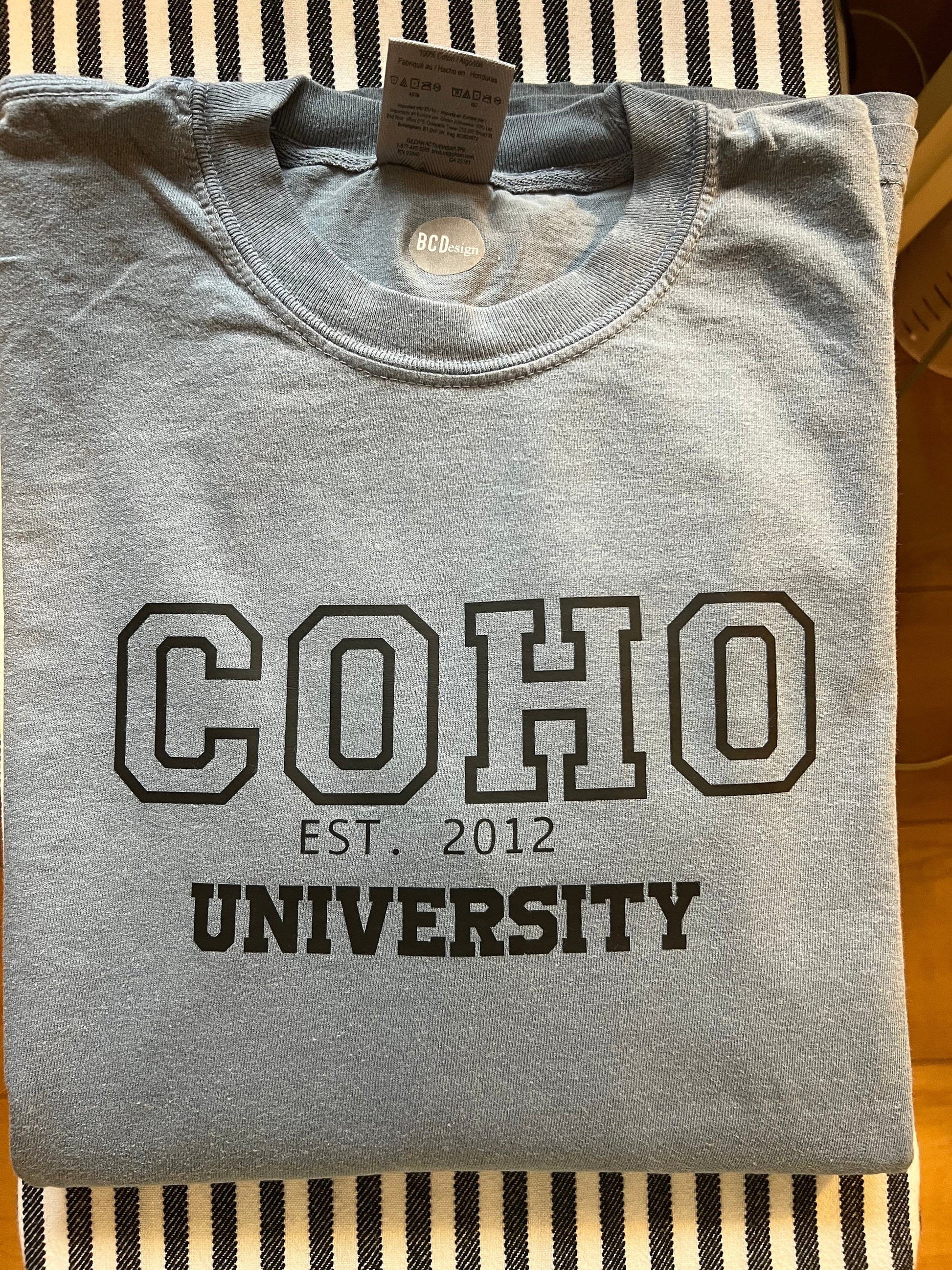 Colleen Hoover Shirt Gift For Her Reading Gift Shirt Birthday Gift colleen Hoover tshirt colleen Hoover t-shirt