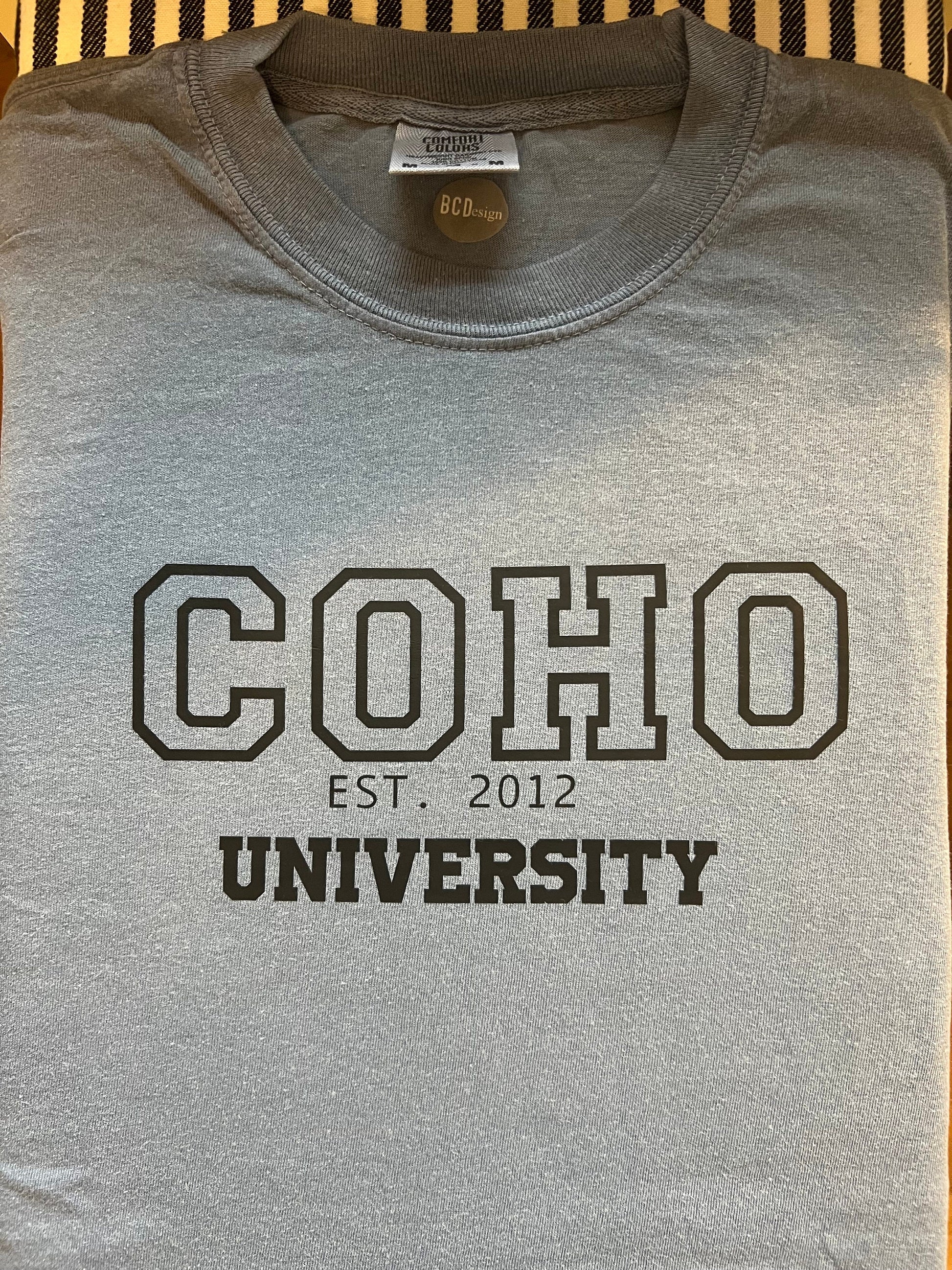 Colleen Hoover Shirt Gift For Her Reading Gift Shirt Birthday Gift colleen Hoover tshirt colleen Hoover t-shirt